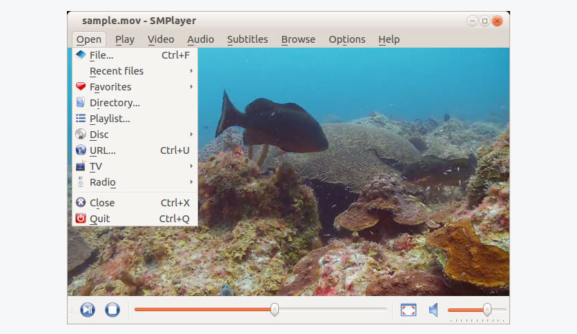 Scr6_SMPlayer_free-download