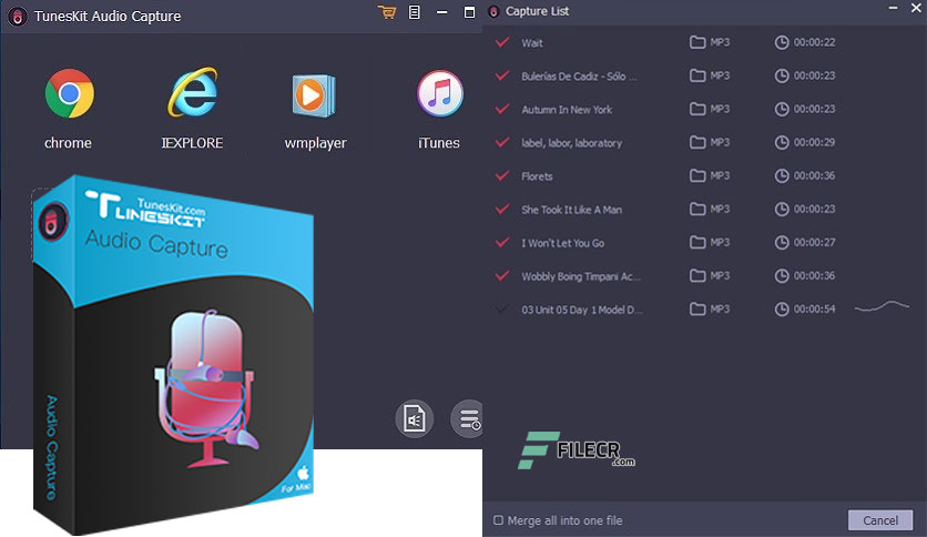 Tuneskit-Audio-Capture-Free-Download-01-1