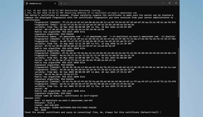 6864c22627d3b-filezilla-pro-command-line-screenshot3