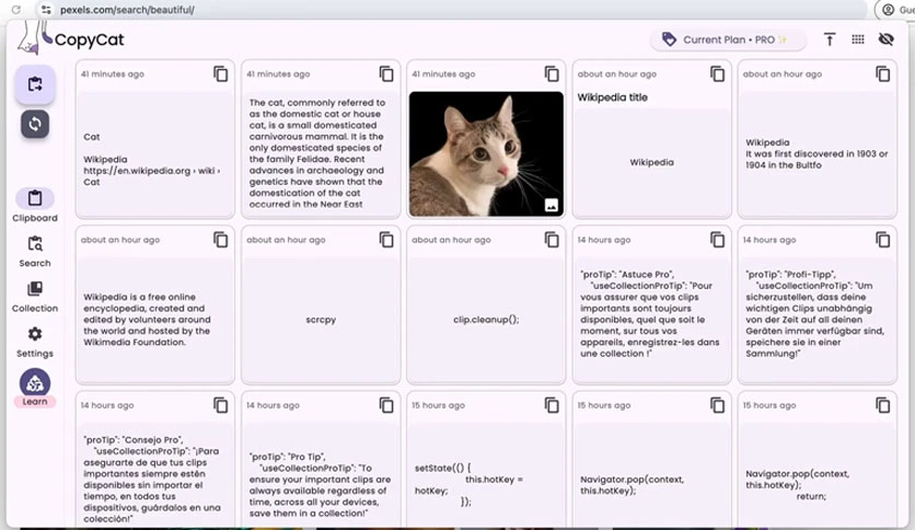 687f875977edf-copycat-clipboard-for-windows-screenshot4