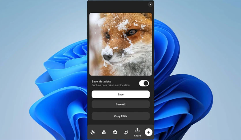 68832502adce4-sly-screenshot2