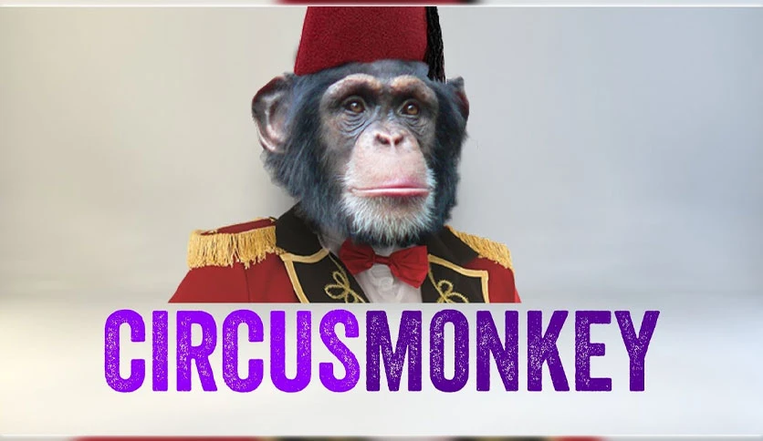 64cc92a9cdeb6-aescripts-circusmonkey-for-after-effects-FeatureImage