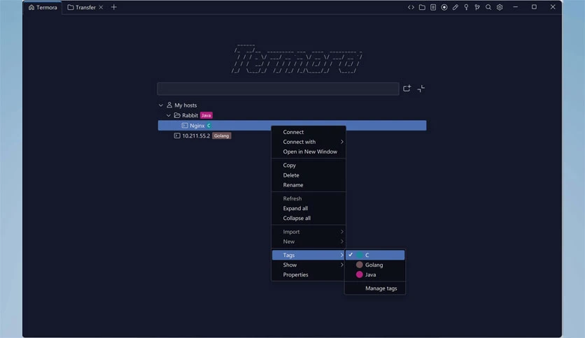 6895f5808cc00-termora-FeatureImage
