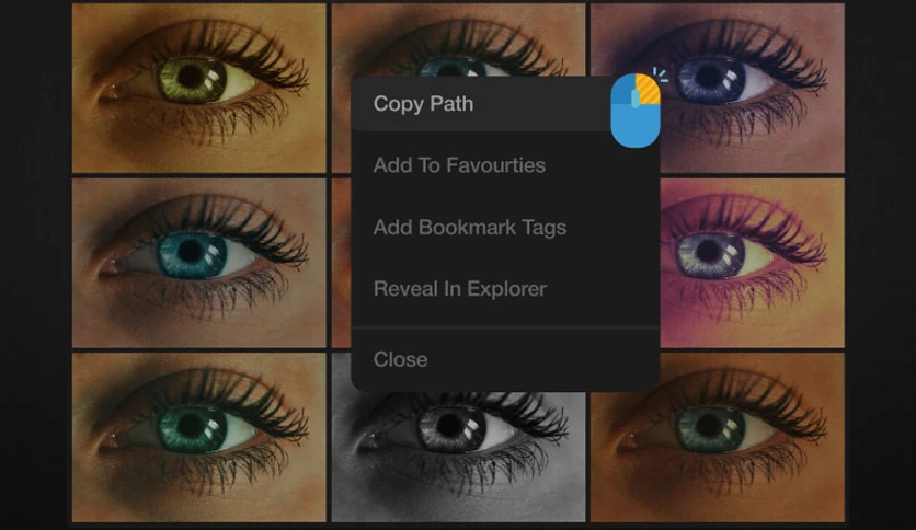 689f114f6a040-aescripts-luts-manager-screenshot3