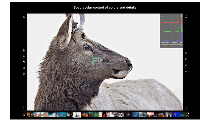 Polarr-Photo-Editor-Free-download-02