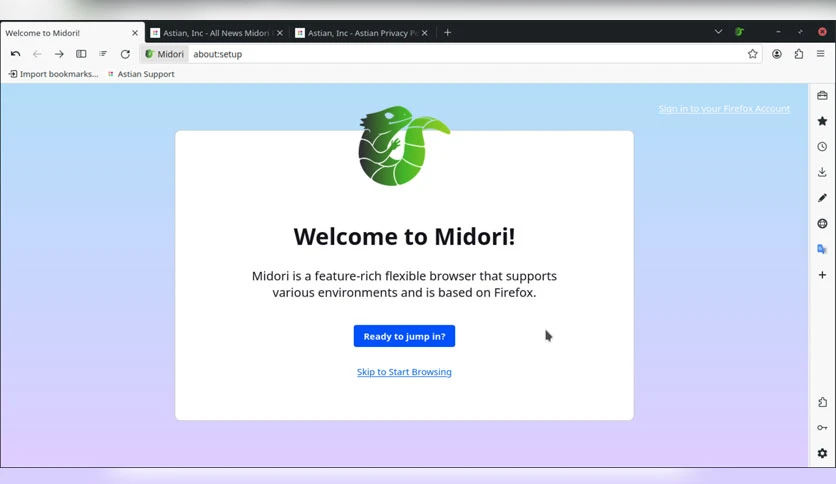 65d5deb1a2d2c-midori-browser-screenshot2