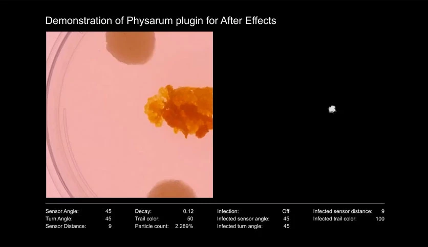 68beaa72dc531-aescripts-physarum-screenshot2