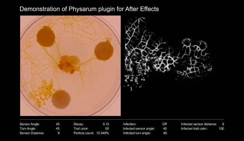 68beaa7651409-aescripts-physarum-screenshot3