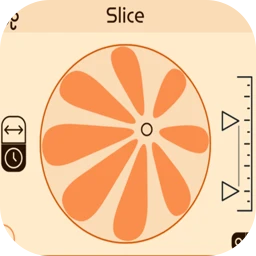 Lese Slice 1.1.1