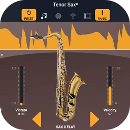 Audio Modeling SWAM Solo Woodwinds V3 v3.10.1