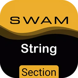 Audio Modeling SWAM String Sections 1.4.1