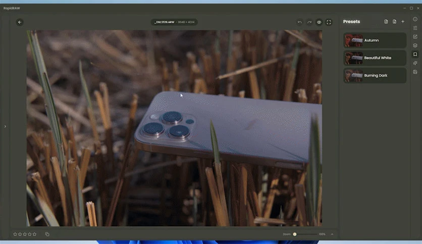 6878d5f9e481a-rapidraw-screenshot2
