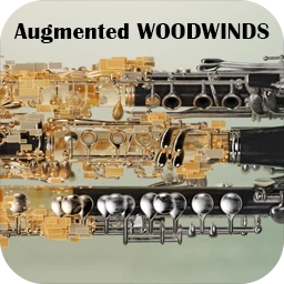 Arturia Augmented WOODWINDS 1.1.1.5024
