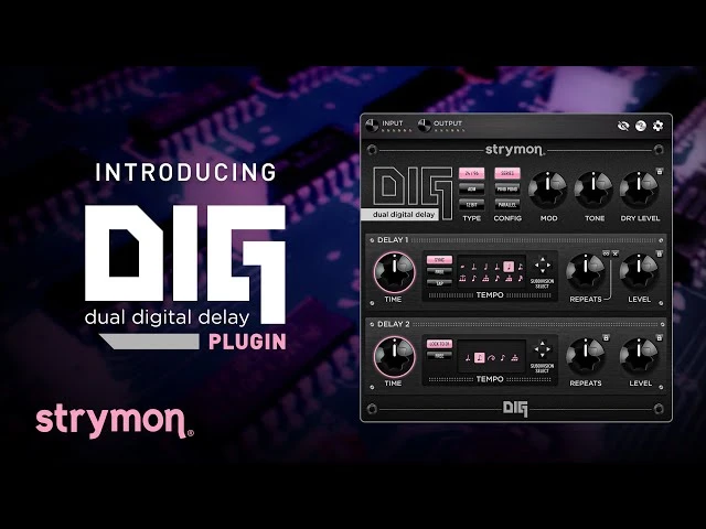 68e3702a90315-strymon-dig-plugin-screenshot1