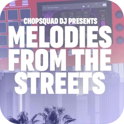 AkaiPro Chopsquad DJ Presents Melodies From The Streets MPC Expansion 1.0.3
