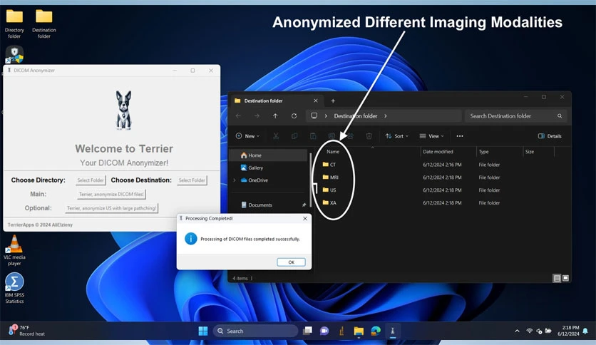 68ef803e4ebd8-terrier-anonymizer-screenshot12