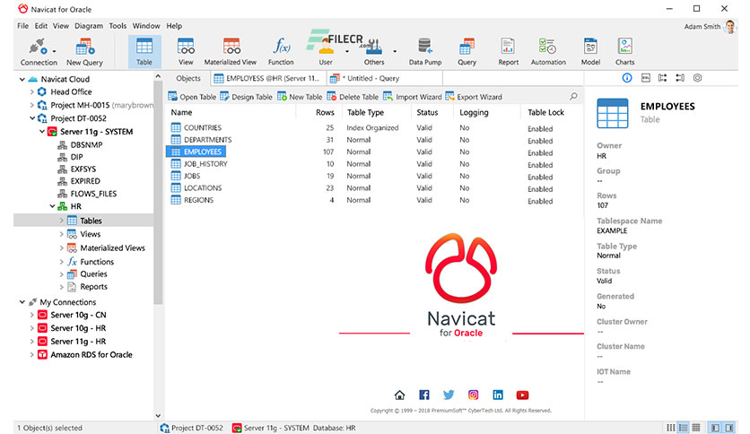 Navicat-for-Oracle-Free-download-01