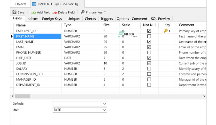 Navicat-for-Oracle-Free-download-02
