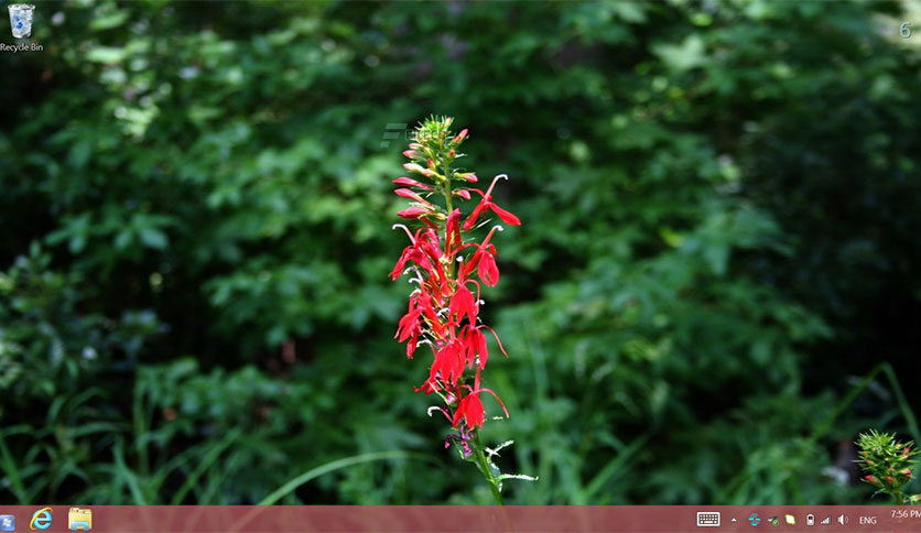 goScreen-Corporate-Free-Download-01-1