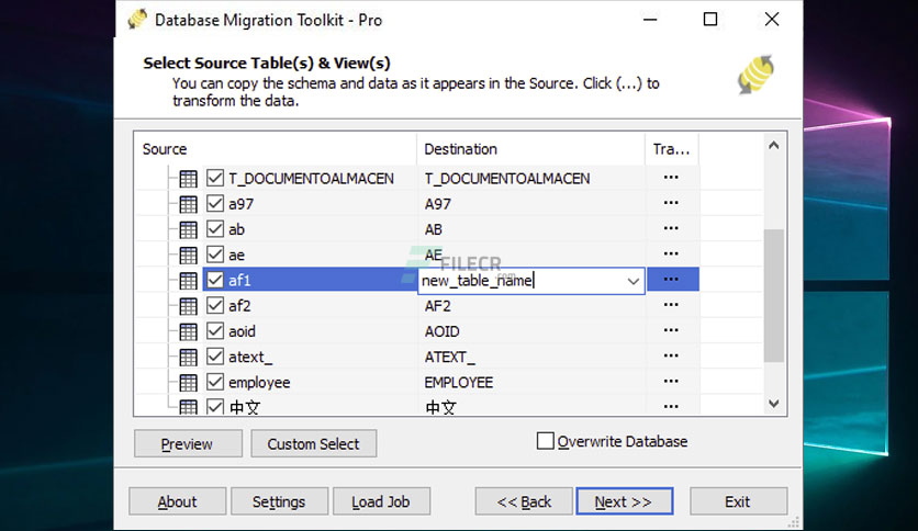 esf-database-migration-toolkit-professional-free-download-02