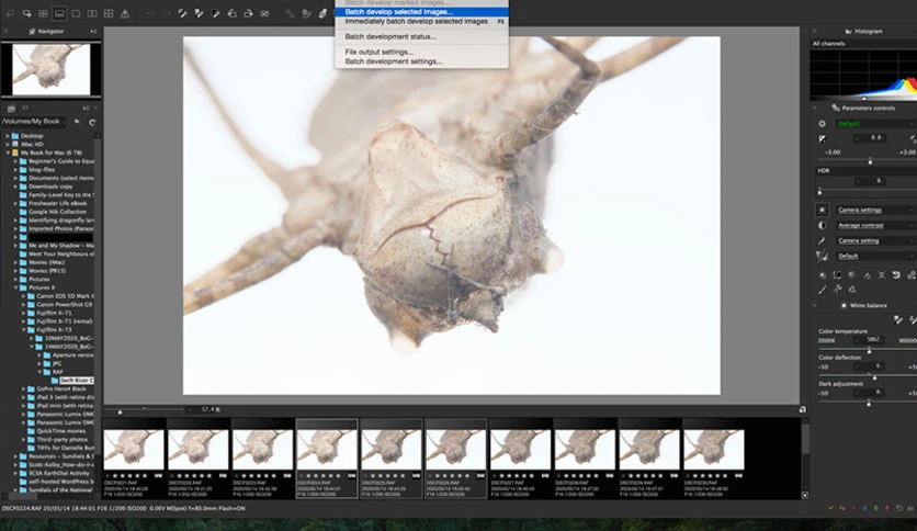 6513c542b91f0-silkypix-raw-converter-screenshot1