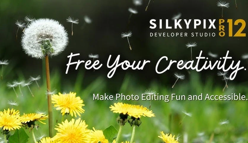 691439a58e488-silkypix-developer-studio-pro-FeatureImage