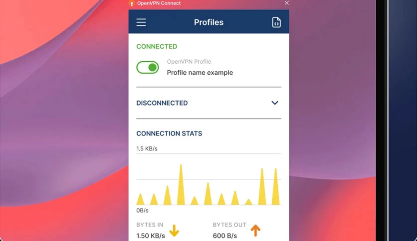 691d61055306f-openvpn-connect-screenshot3