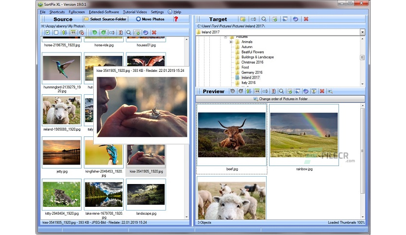 in-media-kg-sortpix-xl-free-download-04