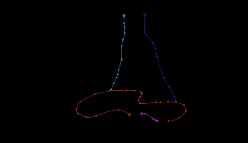 6932ba9680b2d-aescripts-sennazoli-lines-to-paths-screenshot3