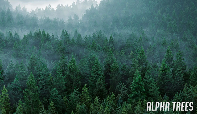 694126c92efac-superhive-market-alpha-trees-screenshot1