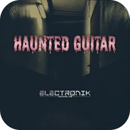 Electronik Sound Lab HAUNTED GUITAR 1.3.0