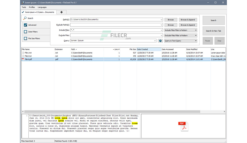 fileseek-pro-free-download-01