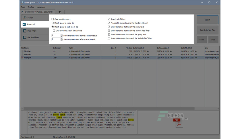 fileseek-pro-free-download-03