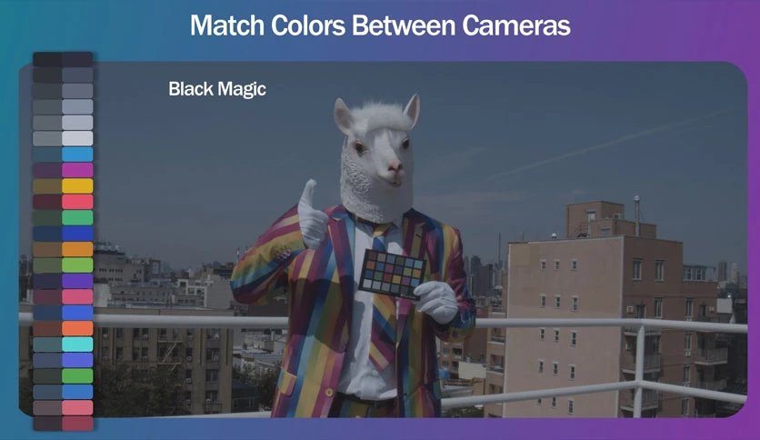68da1afd5c508-aescripts-color-llama-screenshot4