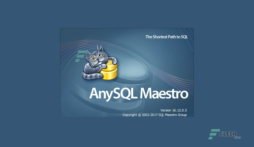 AnySQL-Maestro-Professional-Free-Download-01-1