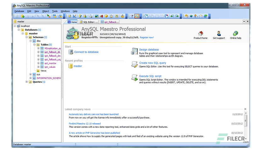 AnySQL-Maestro-Professional-Free-Download-02-1