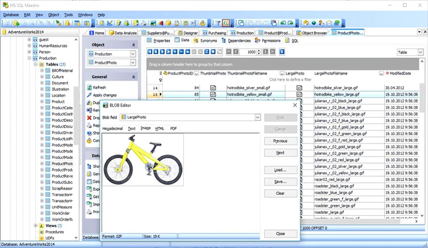 658958c9d5fd9-ms-sql-maestro-screenshot3