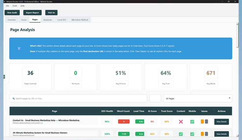 695de5e9a4d3b-microdose-marketing-website-booster-solopreneur-st-screenshot2