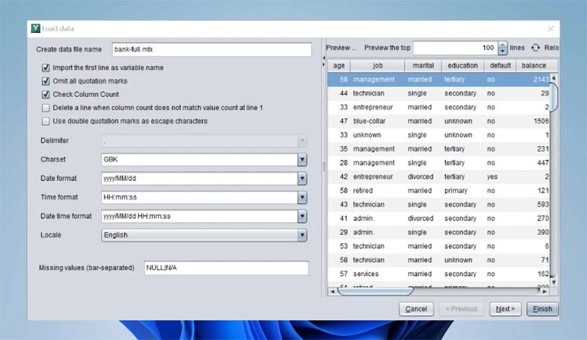 6892e7d4c4aa1-raqsoft-ymodel-screenshot4