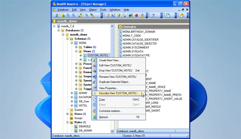 6960b32611197-sqlmaestro-maxdb-maestro-screenshot4