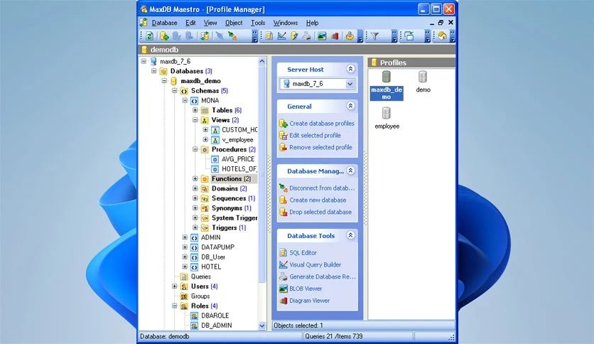 6960b3281b55e-sqlmaestro-maxdb-maestro-screenshot6