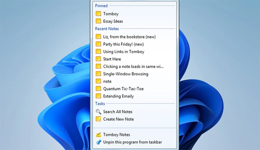 6964885cdeb6a-alex-graveley-tomboy-screenshot2