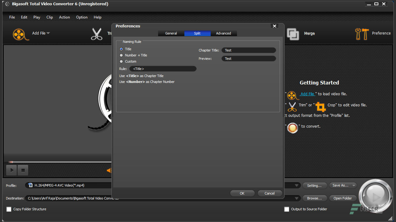 Scr4_Bigasoft-Total-Video-Converter_free-download