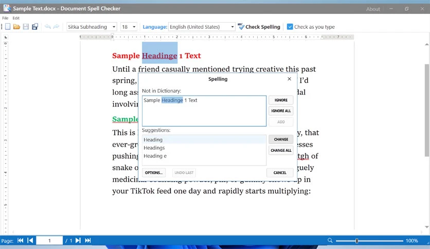 69674c36a132b-ngoc-thanh-document-spell-checker-screenshot5