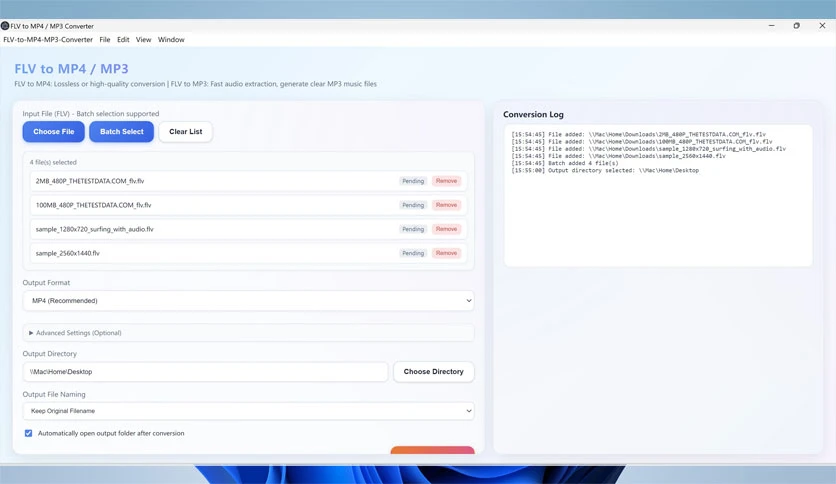 69661ebae6e3d-cainey-studio-flv-to-mp4-mp3-converter-screenshot2