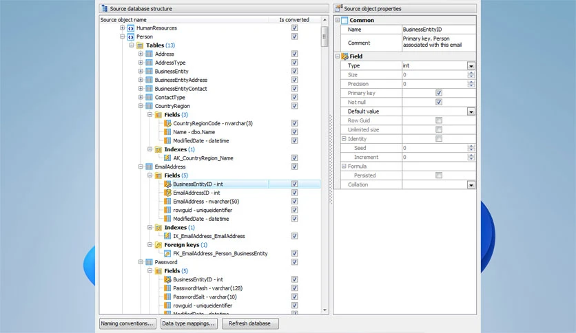 69687ff35ab5e-sqlmaestrogroup-database-converter-for-mysql-screenshot2