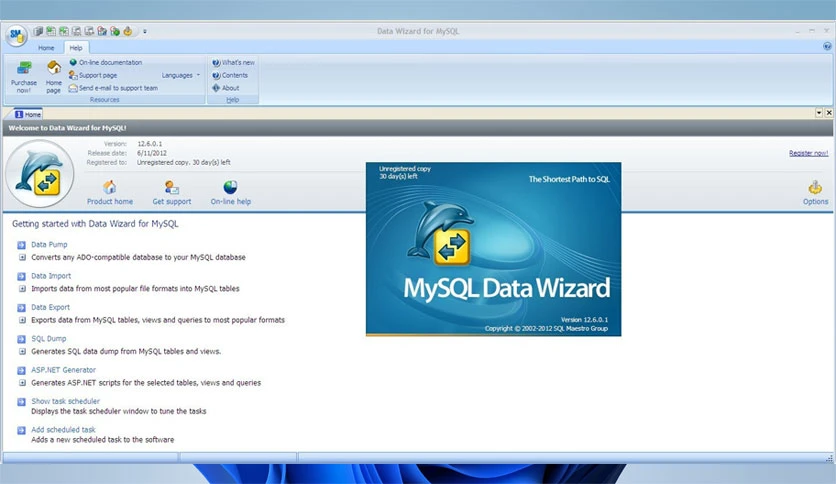 69687a7f8395b-sqlmaestrogroup-data-wizard-for-mysql-screenshot1