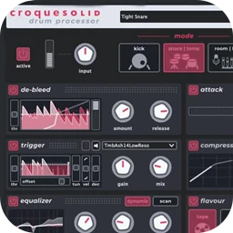 Tourage DSP croquesolid 1.1.1