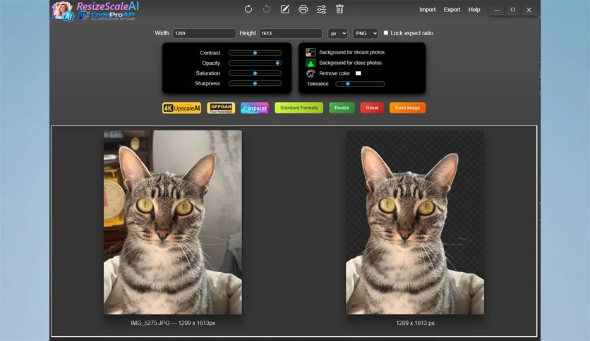 696e28c06b077-codepro-ap-resizescaleai-screenshot3