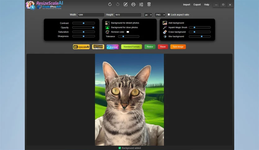 696e28c286c07-codepro-ap-resizescaleai-screenshot5